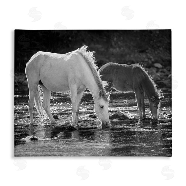 stupell industries JG Studios | Horses Drinking at Stream Wall Art