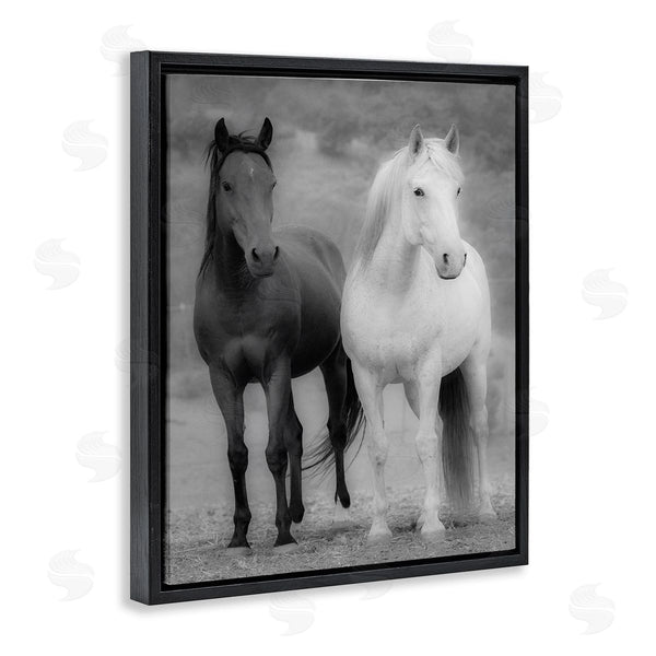 Stupell Industries JG Studios | White & Black Horses Wall Art