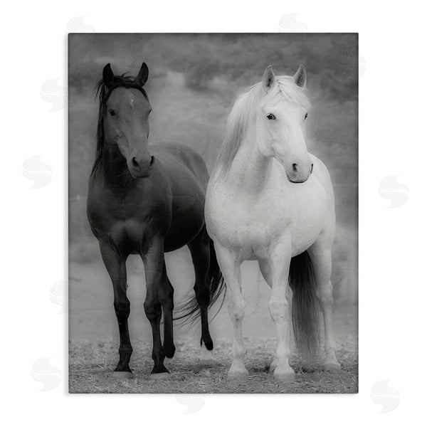 stupell industries JG Studios | White & Black Horses Wall Art