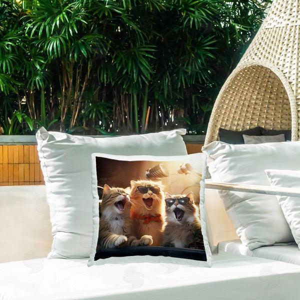 Stupell Industries Jim Baldwin | Cats Singing In Studio Printed Throw Pillow