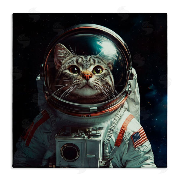 stupell industries Jim Baldwin | Catstronaut Cat Astronaut Wall Art