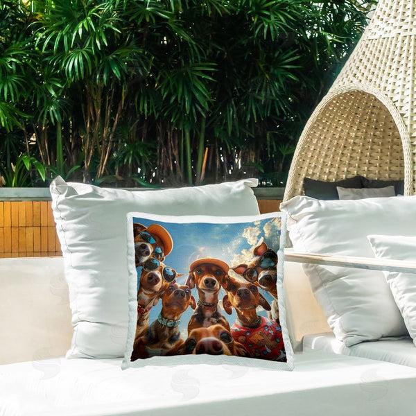 Stupell Industries Jim Baldwin | Funny Wiener Dog Selfie Printed Throw Pillow