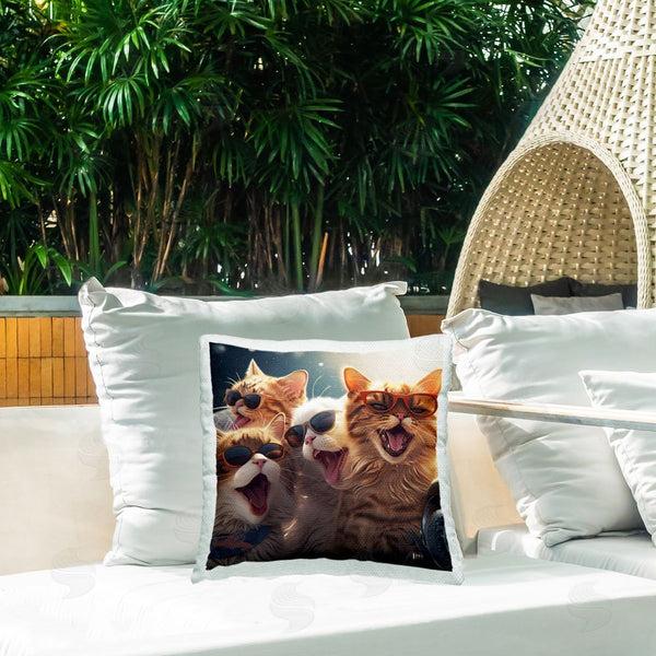Stupell Industries Jim Baldwin | Happy Meowing Cats Printed Throw Pillow