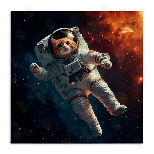 stupell industries Jim Baldwin | Interstellar Cat Astronaut Wall Art