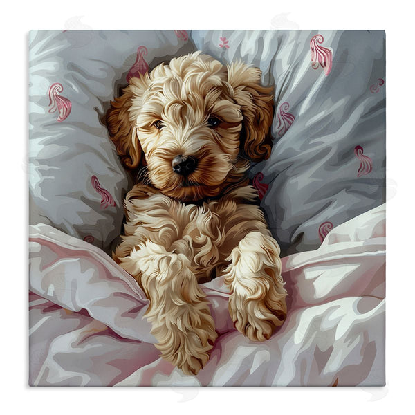 stupell industries Jim Baldwin | Nap Time Cuddling Labradoodle