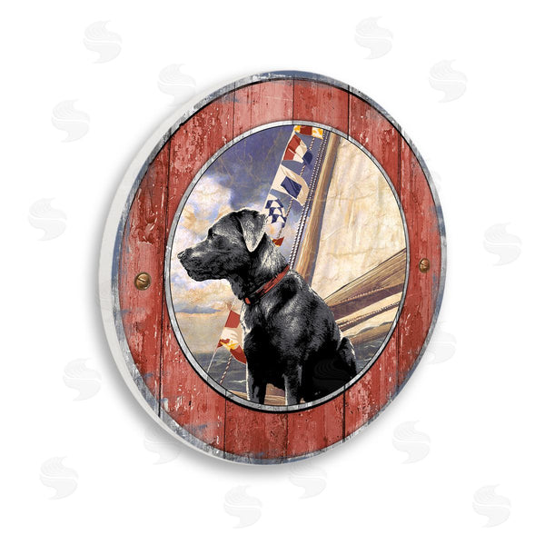 stupell industries Jim Baldwin | Seafaring Dog Sailboat Flags Wall Art