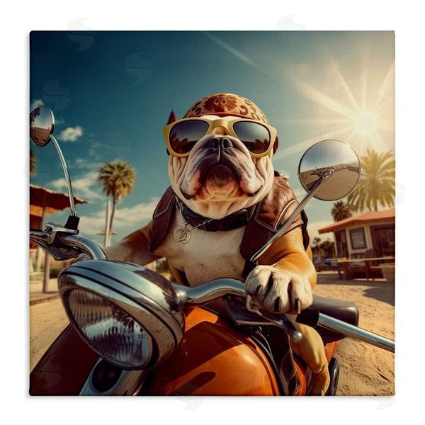 stupell industries Jim Baldwin | Summer Motorcycle Dog Wall Art