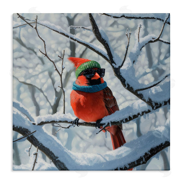 stupell industries Jim Baldwin | Winter Cool Cardinal