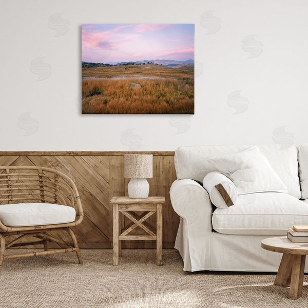 Stupell Industries Jim Becia | Morning Light Rock & Grasses Wall Art