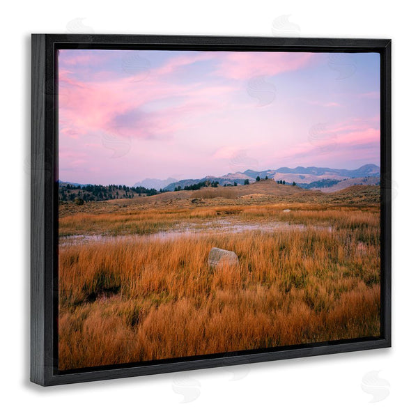 Stupell Industries Jim Becia | Morning Light Rock & Grasses Wall Art