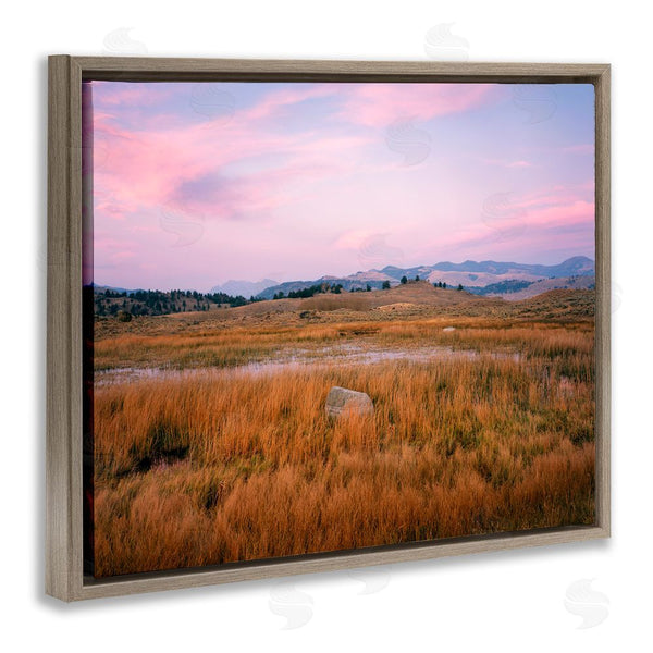 Stupell Industries Jim Becia | Morning Light Rock & Grasses Wall Art