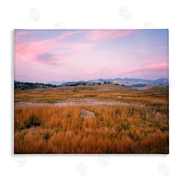 stupell industries Jim Becia | Morning Light Rock & Grasses Wall Art