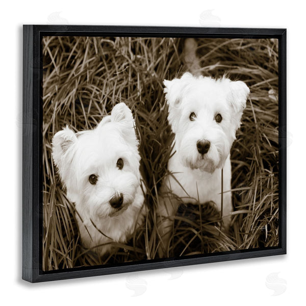Stupell Industries Jim Dratfield | White Terrier Puppies Wall Art