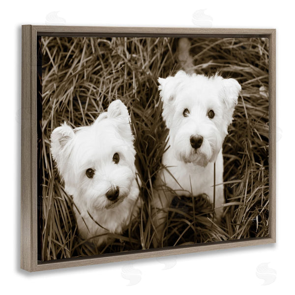 Stupell Industries Jim Dratfield | White Terrier Puppies Wall Art