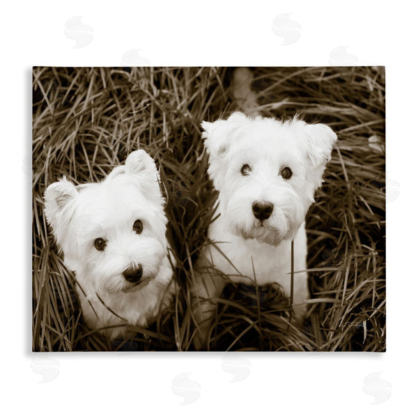 stupell industries Jim Dratfield | White Terrier Puppies Wall Art