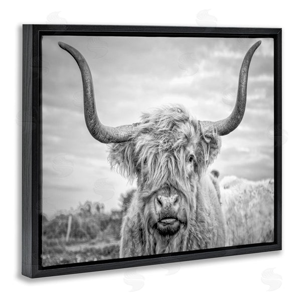 Stupell Industries Joe Reynolds | Grey Highland Cow Photograph