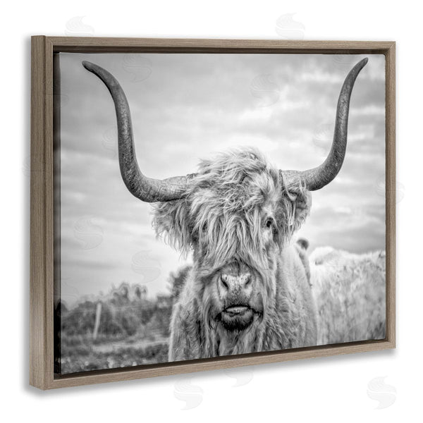Stupell Industries Joe Reynolds | Grey Highland Cow Photograph