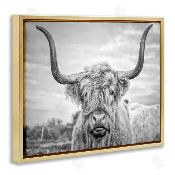 Stupell Industries Joe Reynolds | Grey Highland Cow Photograph