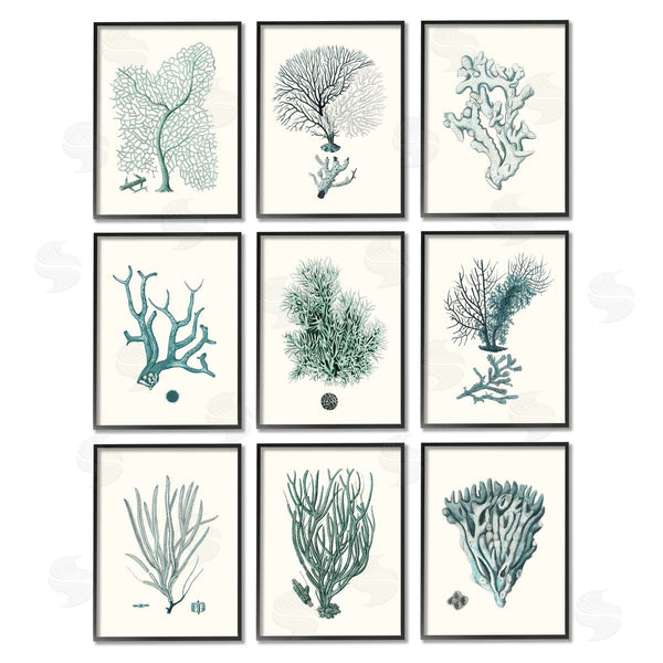Stupell Industries Johann Esper | Deep Sea Coral Arrangement Plant Life Wall Art