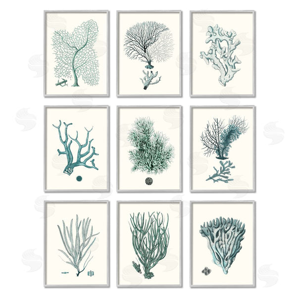 Stupell Industries Johann Esper | Deep Sea Coral Arrangement Plant Life Wall Art