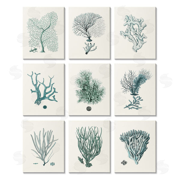 stupell industries Johann Esper | Deep Sea Coral Arrangement Plant Life Wall Art