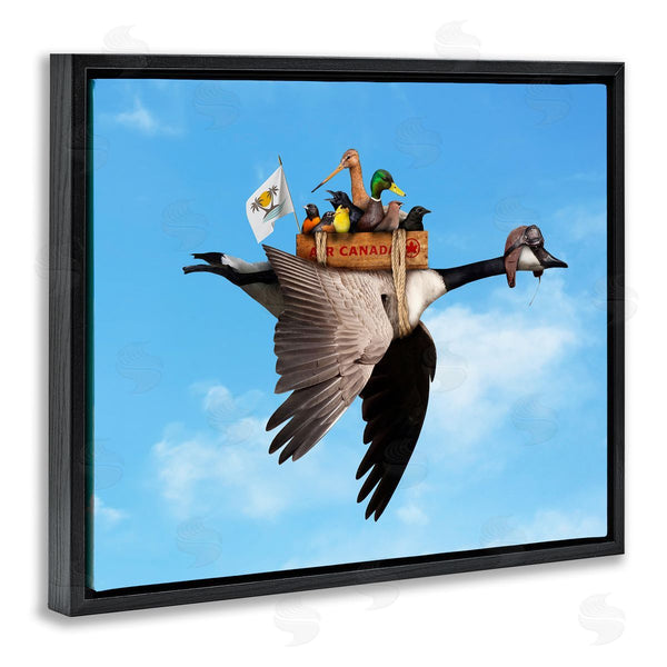 Stupell Industries John Hovenstine | Pilot Goose Flying Ducks Sky Wall Art