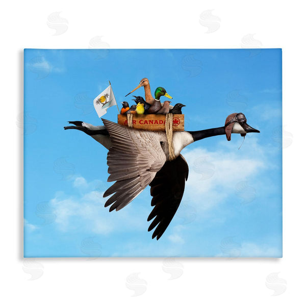 stupell industries John Hovenstine | Pilot Goose Flying Ducks Sky Wall Art