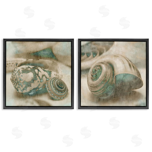 Stupell Industries John Seba | Distressed Sepia Shells With Turquoise Wall Art
