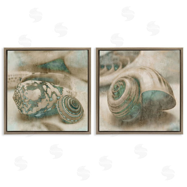 Stupell Industries John Seba | Distressed Sepia Shells With Turquoise Wall Art