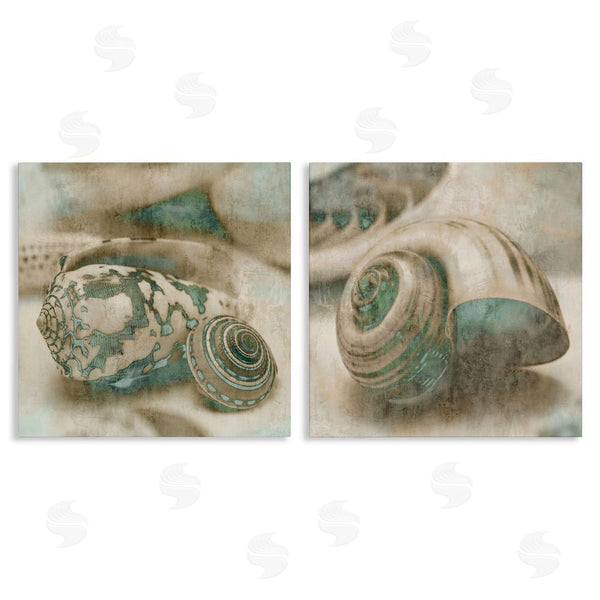 stupell industries John Seba | Distressed Sepia Shells with Turquoise Wall Art