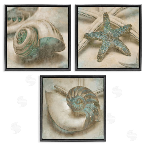 Stupell Industries John Seba | Starfish & Sea Shells Distressed Wall Art