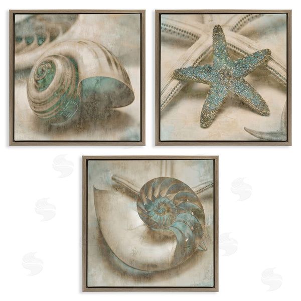 Stupell Industries John Seba | Starfish & Sea Shells Distressed Wall Art