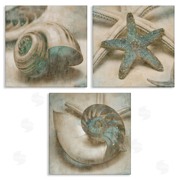 stupell industries John Seba | Starfish & Sea Shells Distressed Wall Art