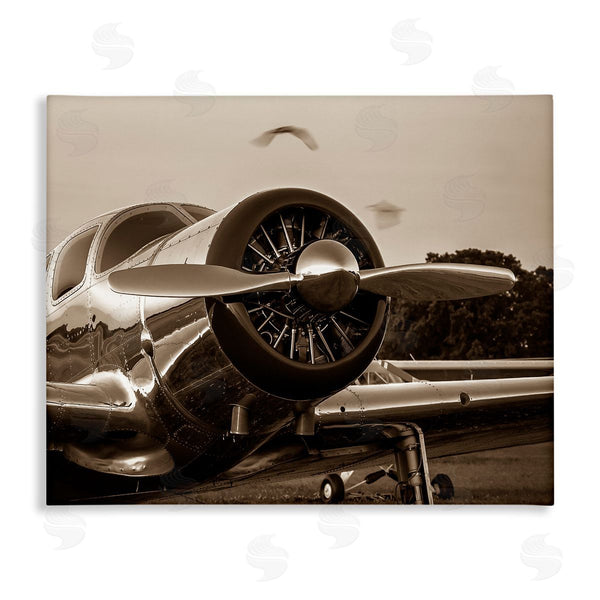 stupell industries John Slemp | Antique Style Airplane Aircraft Propeller Photography Landscape Wall Art