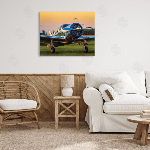 Stupell Industries John Slemp | Jet Plane In Meadow Summer Sunset Reflection Wall Art