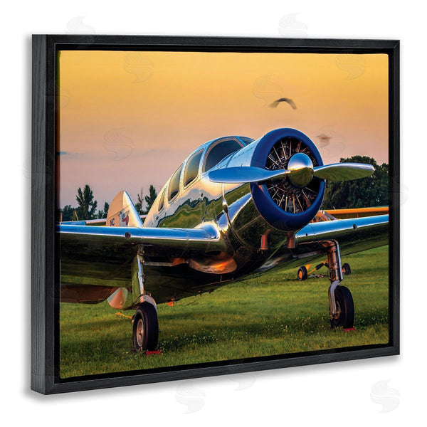 Stupell Industries John Slemp | Jet Plane In Meadow Summer Sunset Reflection Wall Art
