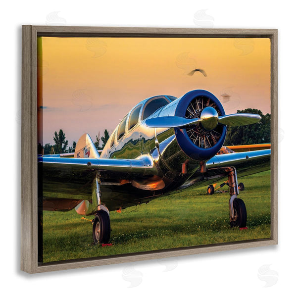 Stupell Industries John Slemp | Jet Plane In Meadow Summer Sunset Reflection Wall Art