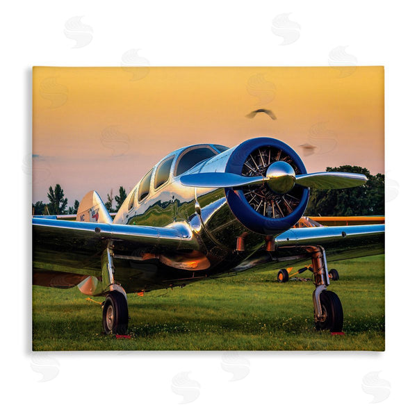 stupell industries John Slemp | Jet Plane in Meadow Summer Sunset Reflection Wall Art