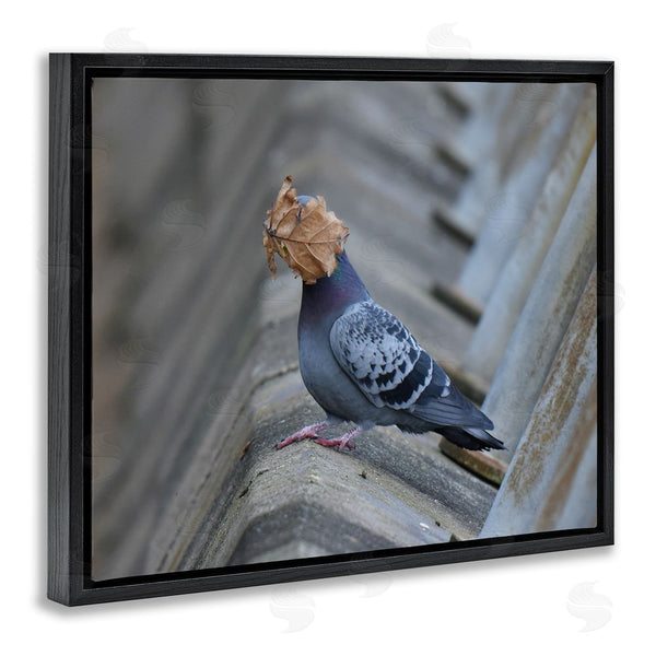 Stupell Industries John Speirs | Funny Leaf In Pigeon's Face Wall Art