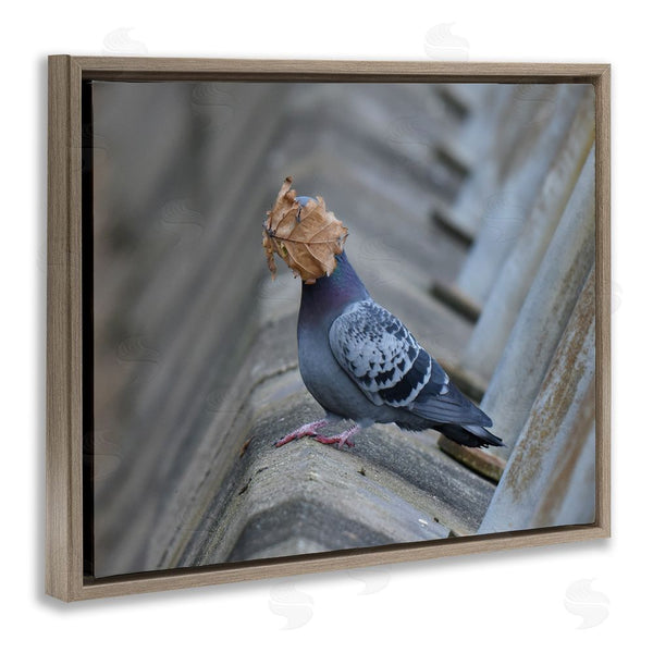 Stupell Industries John Speirs | Funny Leaf In Pigeon's Face Wall Art