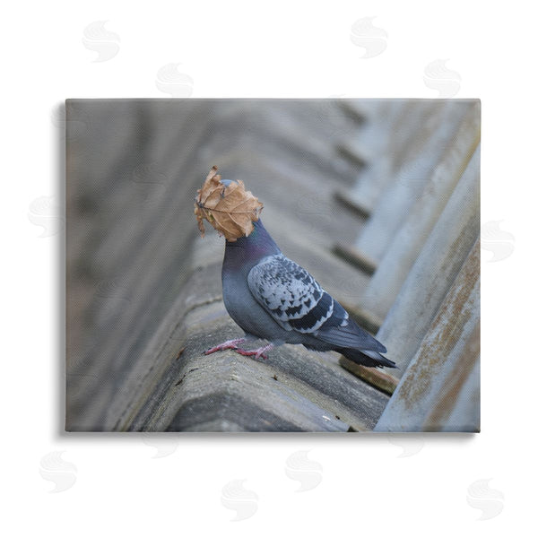 stupell industries John Speirs | Funny Leaf in Pigeon's Face Wall Art