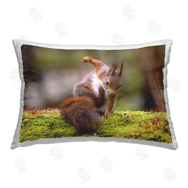Stupell Industries Johnny Kaapa | Funny Squirrel Posing