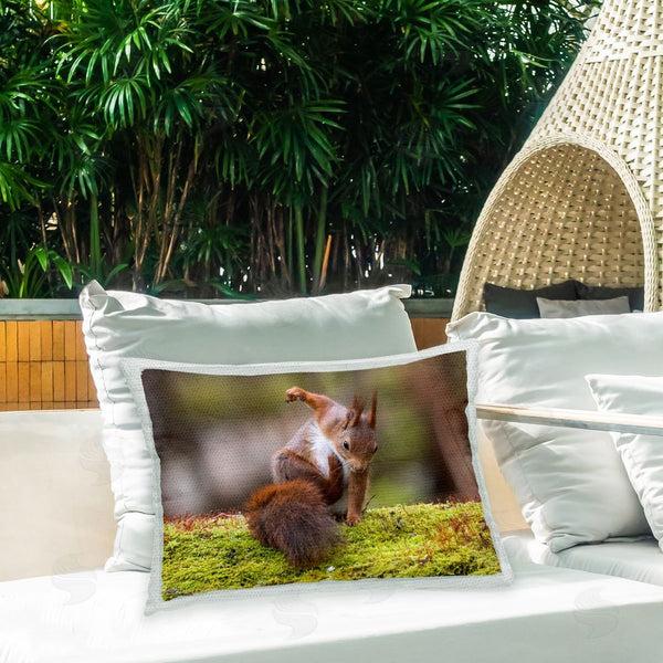 Stupell Industries Johnny Kaapa | Funny Squirrel Posing