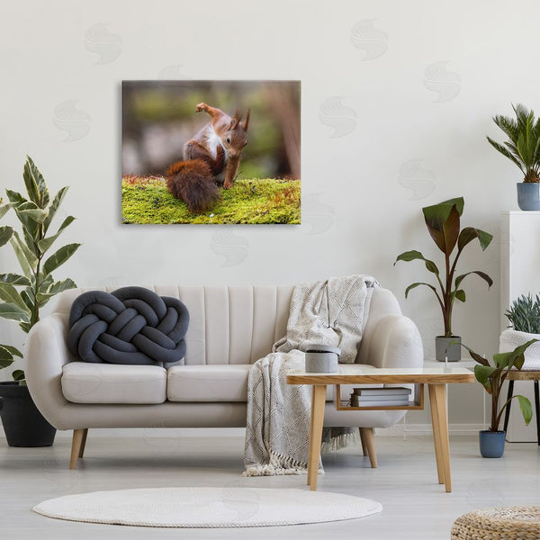 Stupell Industries Johnny Kaapa | Squirrel On Mossy Log Wall Art