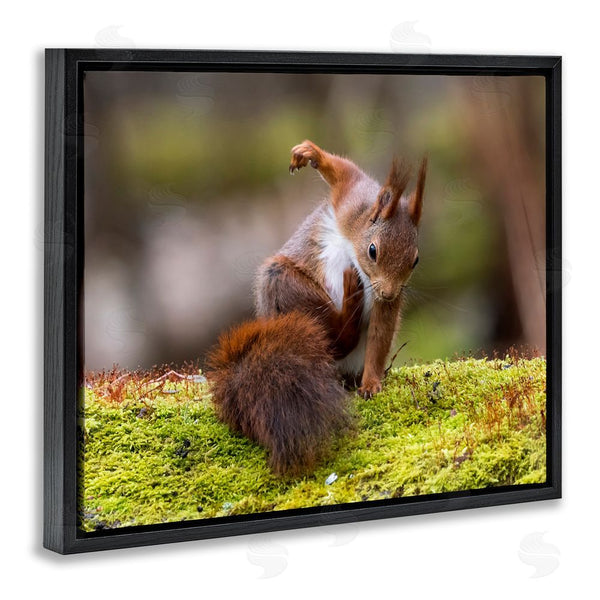 Stupell Industries Johnny Kaapa | Squirrel On Mossy Log Wall Art