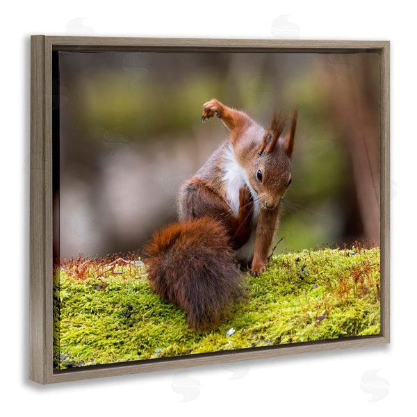 Stupell Industries Johnny Kaapa | Squirrel On Mossy Log Wall Art