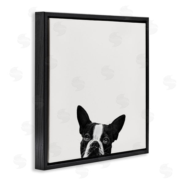 Stupell Industries Jon Bertelli | Dog Peeking From Below