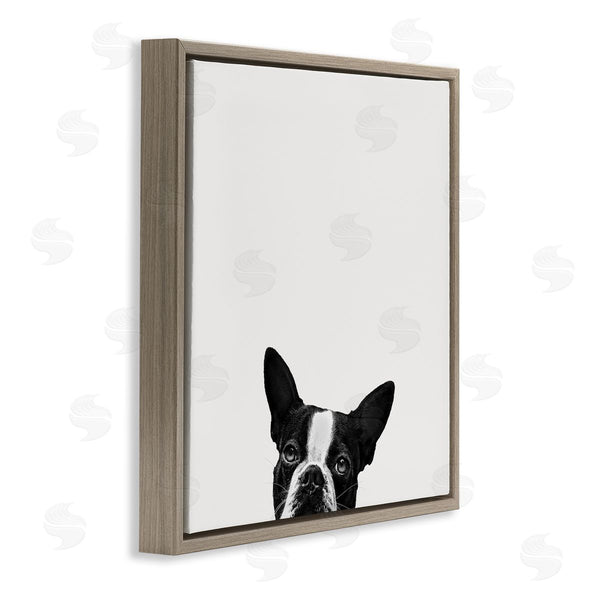 Stupell Industries Jon Bertelli | Dog Peeking From Below