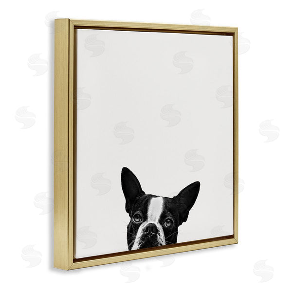 Stupell Industries Jon Bertelli | Dog Peeking From Below