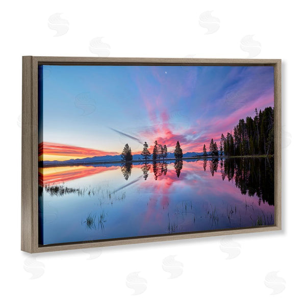 Stupell Industries Jon Evan | Gull Point At Sunrise Wall Art